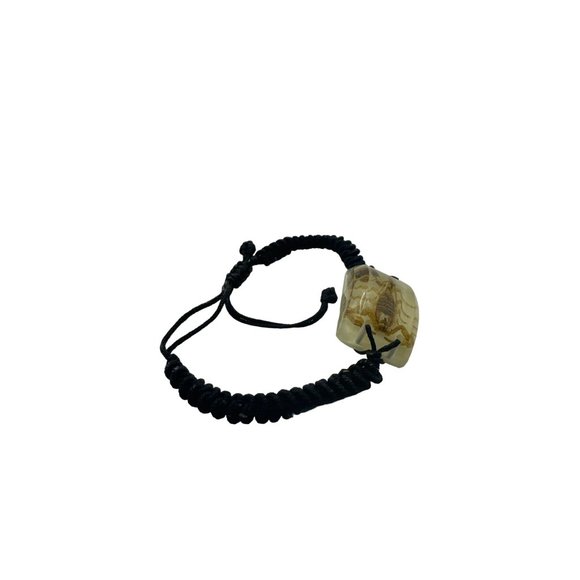 Real Scorpion Encased in Resin Bracelet with Glow in the Dark Background - Picture 3 of 6